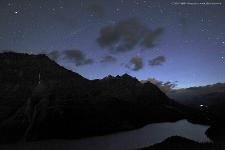Meteors Above Peyto Lake