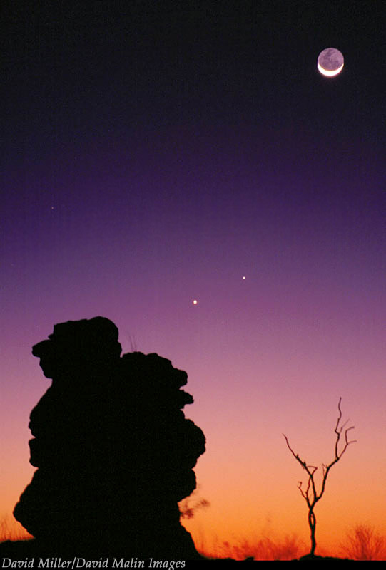Celestial Meeting in Northern Australia