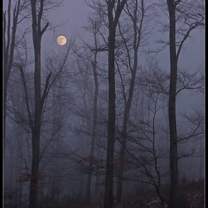 Winter Moonrise in Hungary