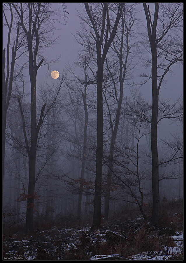 Winter Moonrise in Hungary