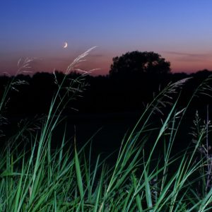 Tall-grass Prairie Moon