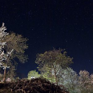 Heavens at Night