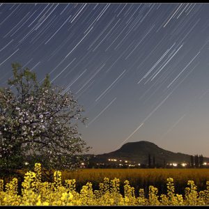 Spring Night of Hungary