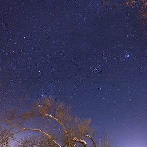 Stars above Snow-covered Landscape