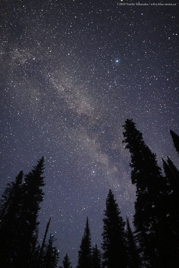 Starry Night of British Columbia