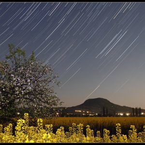 Star Trails and Flower Fields in Hungary