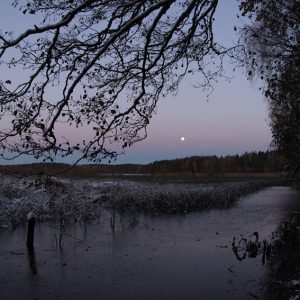 Full Moon Rises in an Autumn Evening