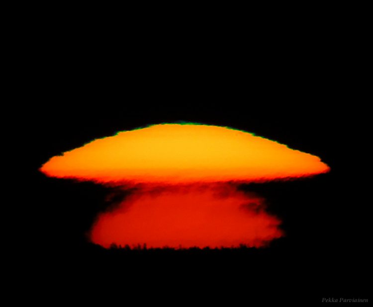 Mushroom Sun