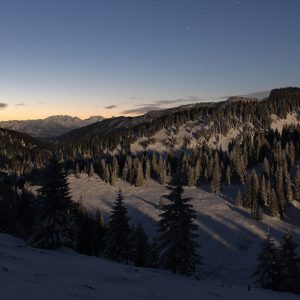 Bavarian Alps in Moonlight