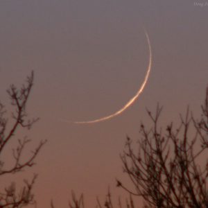 The Red Planet Comes Out of Occultation
