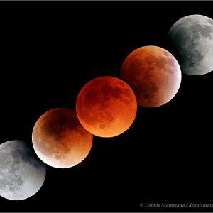 Lunar Eclipse Picnic