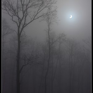 Misty Eclipse
