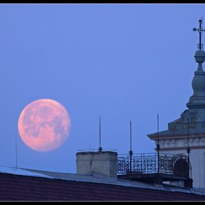 The Wolf Moon