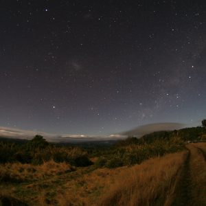 New Zealand under moonlight