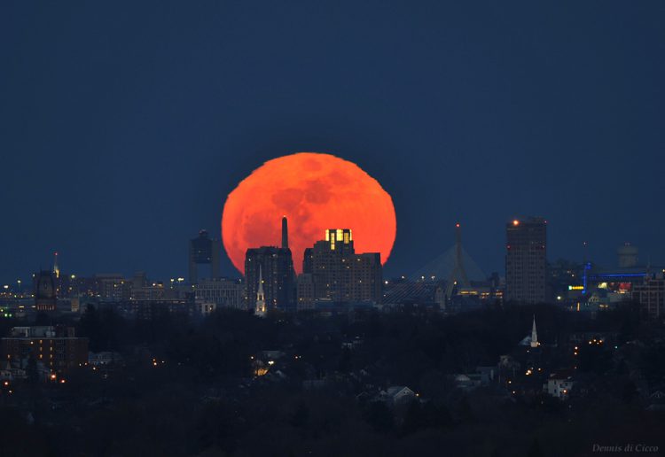 Boston Moonrise