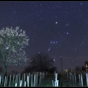 Spring Arrives in Hungary