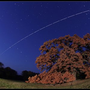 The Space Station and a Giant Oak