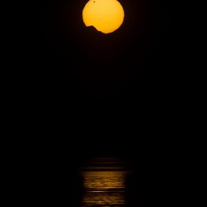 The Last Venus Transit of Our Time