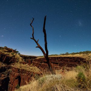 Australian Nightscape