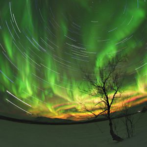 Aurora Trails