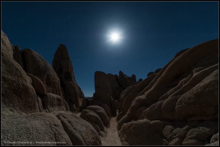 Southern California Moonlit Night