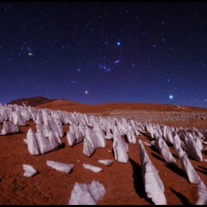 Night in the Andes Ice Forest