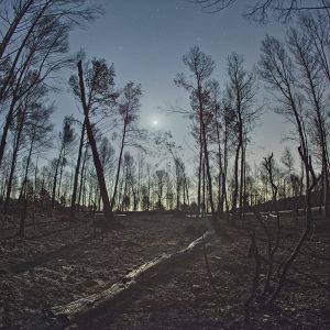 Sky After Wildfires