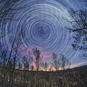 Burnt Forest Star Trail