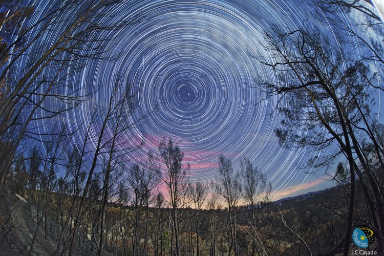 Burnt Forest Star Trail