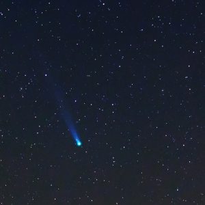 Acacia Comet