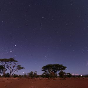 Moonlit Amboseli