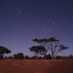 Moonlit Amboseli