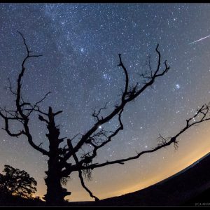 The Night of Perseids