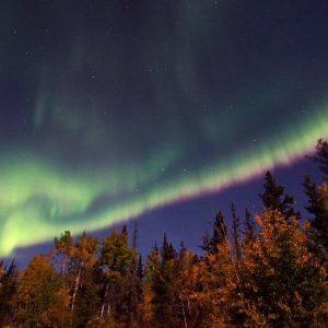 Northern Lights and Fall Colors