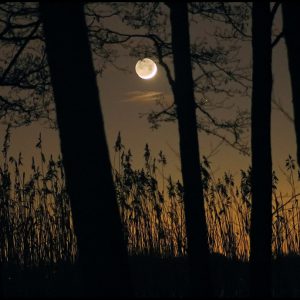 Moon at Dusk