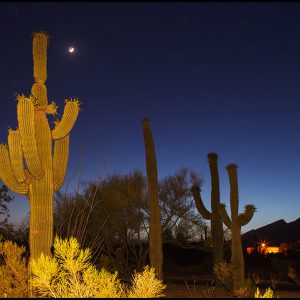Tucson Evening