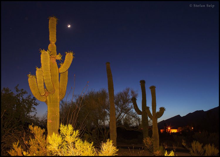 Tucson Evening