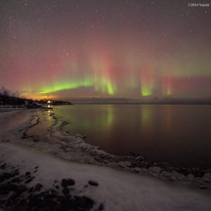 Abisko Nights