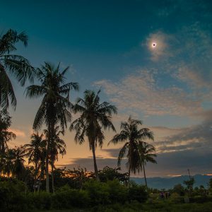 Totality Above Palms