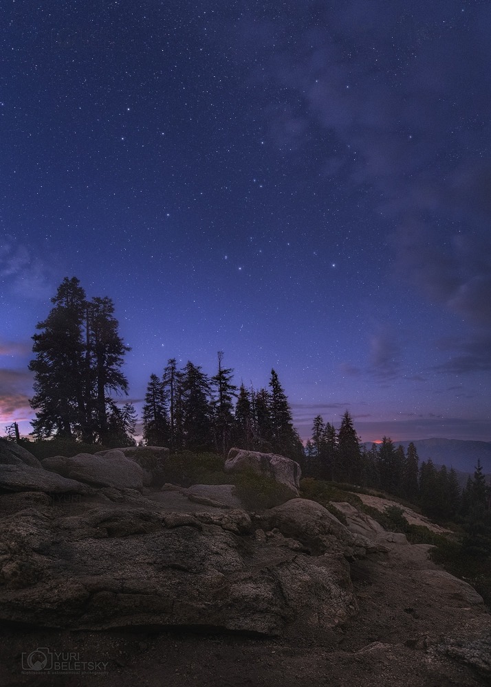 Deep Twilight at Sequoia