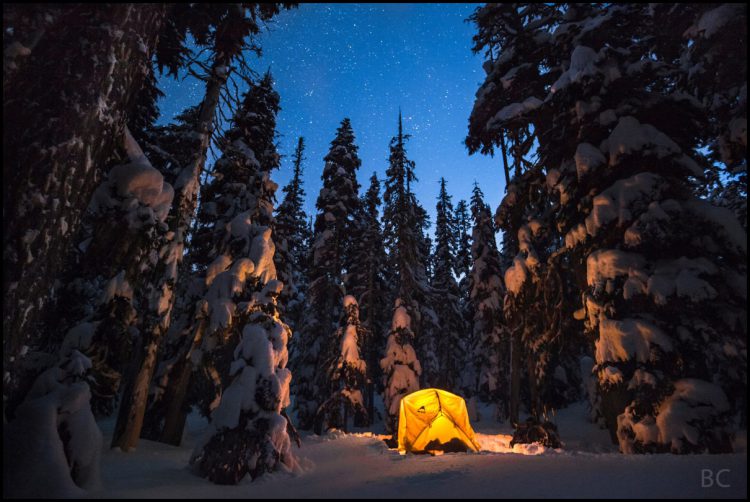 Oregon Winter Night