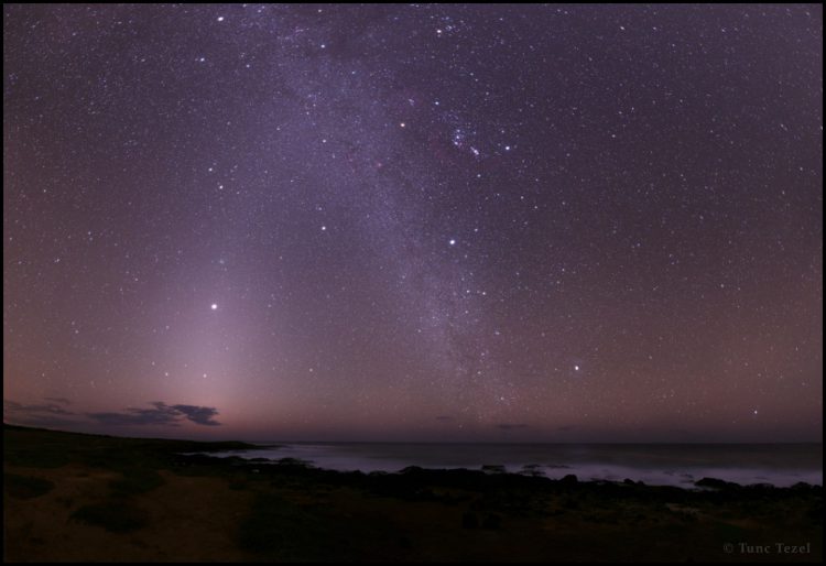 Asteroid Dust from Hawaii