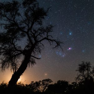 Southern View of Orion