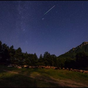 Perseid Meteor over Hyrcanian Forest