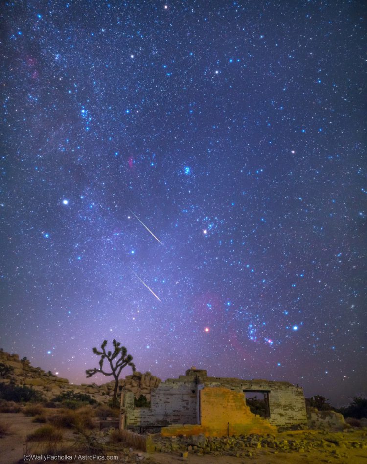 Perseids Near Los Angeles