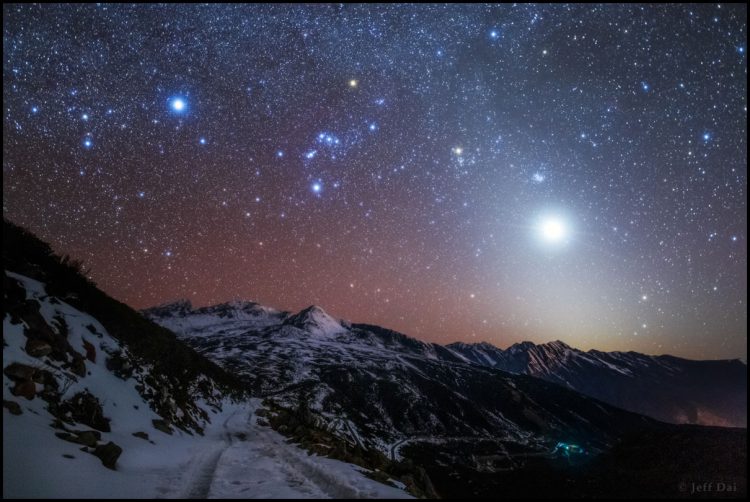 Venus and Winter Stars