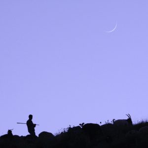 Shepherd and the Young Moon