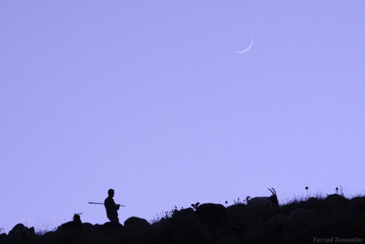 Shepherd and the Young Moon