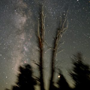 Milky Way and Old Bristlecone