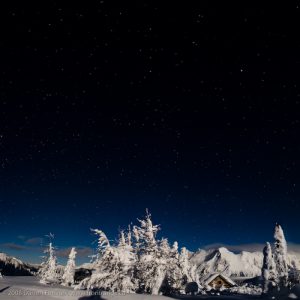 Jumbo Hut Moonlight